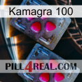 Kamagra 100 14